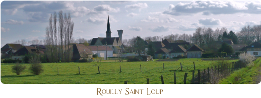 rouilly